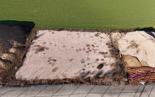 Teren de vanzare – 1.020 mp – Varianta Ovidiu / Targul de Leg-Fructe - Poză 8