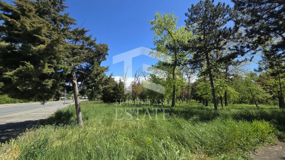 🏖 Teren de vanzare in Neptun – O oportunitate rara de investitie. - Poză 10