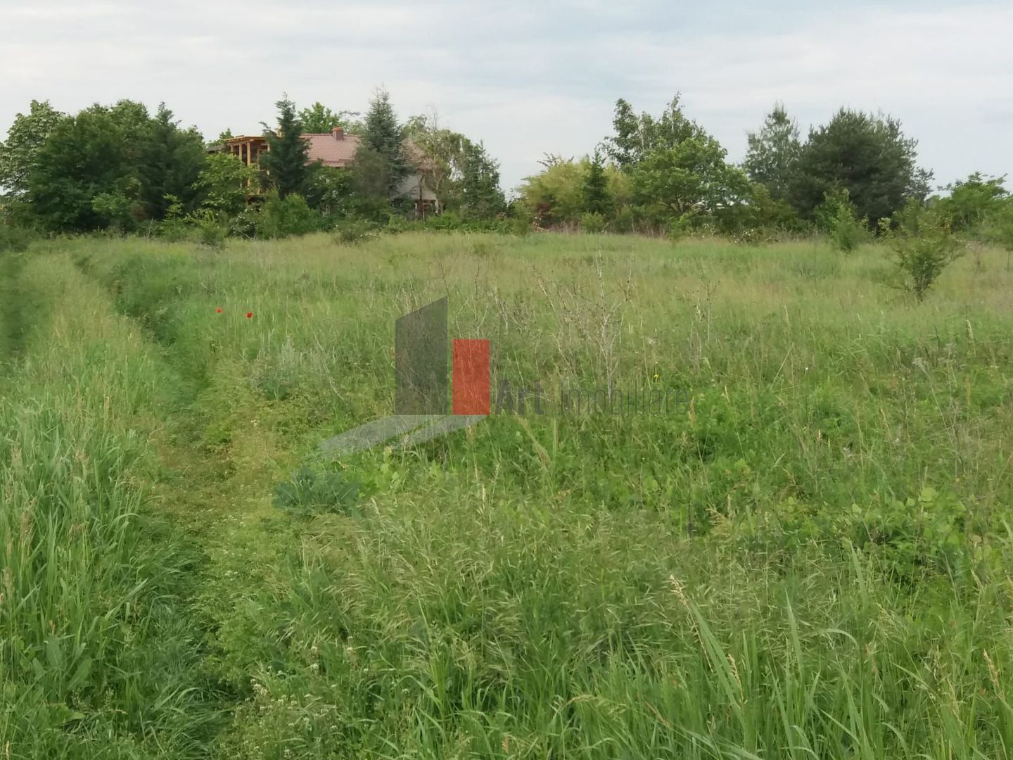 Teren cu iesire la lac - Poză 18