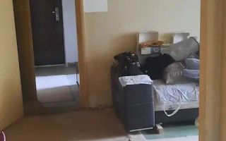 Apt 3 camere Titan metrou si parc - Poză 2