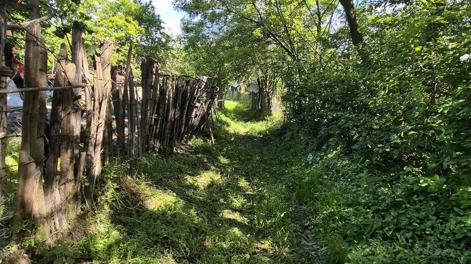 Teren intravilan 1290 mp Plaiu-Provita de Sus - Poză 7