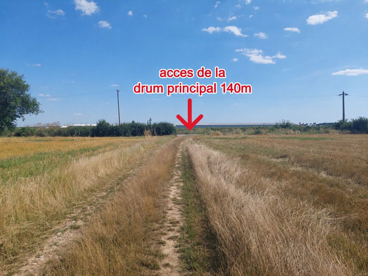 Două loturi 656 mp Ciolpani fiecare / Strada Campului - Poză 2