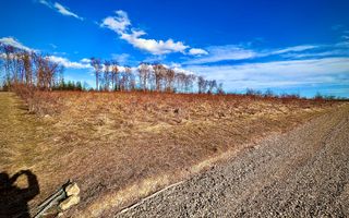 Teren intravilan | 48 ARI | Voivodeasa - Poză 2