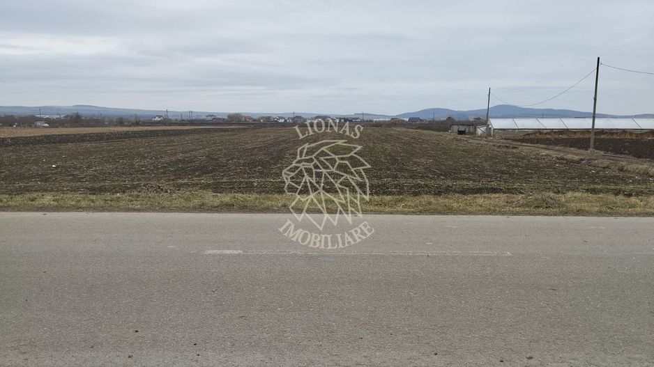 Teren intravilan 2500 mp-pretabil case, pensiune-Zona Crama Jelna - Poză 2