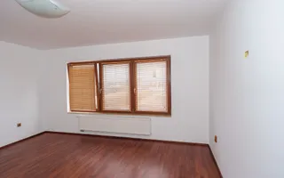 Proprietate Spațioasă Jucu de Mijloc - Ideală ca Locuință sau Afaceri - Poză 14