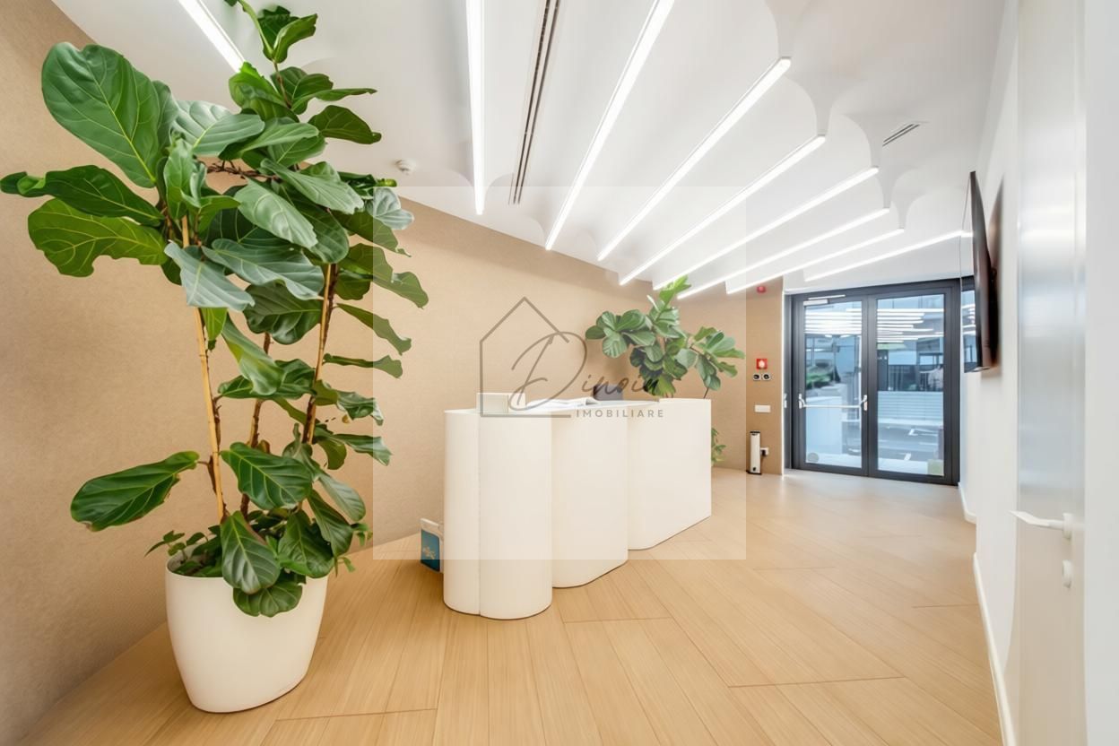 Cortina North I Spatiu de birouri de inchiriat I Mobilat si utilat LUX - Poză 11