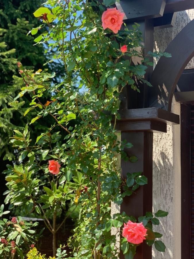 Apartament triplex 4 camere I 210 mp utili I Terasă 80 mp I Herastrau - Poză 24