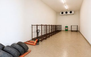 Frigider industrial funcțional 300 tone + transformator propriu | Investiție gata de operare – Speia, Anenii Noi - Poză 16