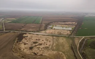 Teren extravilan in Ineu - Poză 14