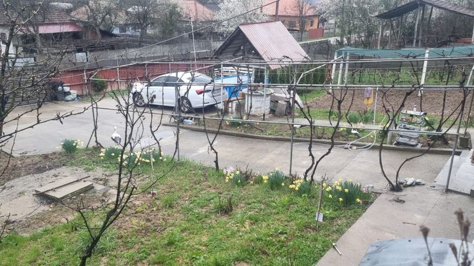 Casă P+M cu 1.558 mp teren, livadă și garaj | Barza, Gorj Comision 0%  - Poză 17