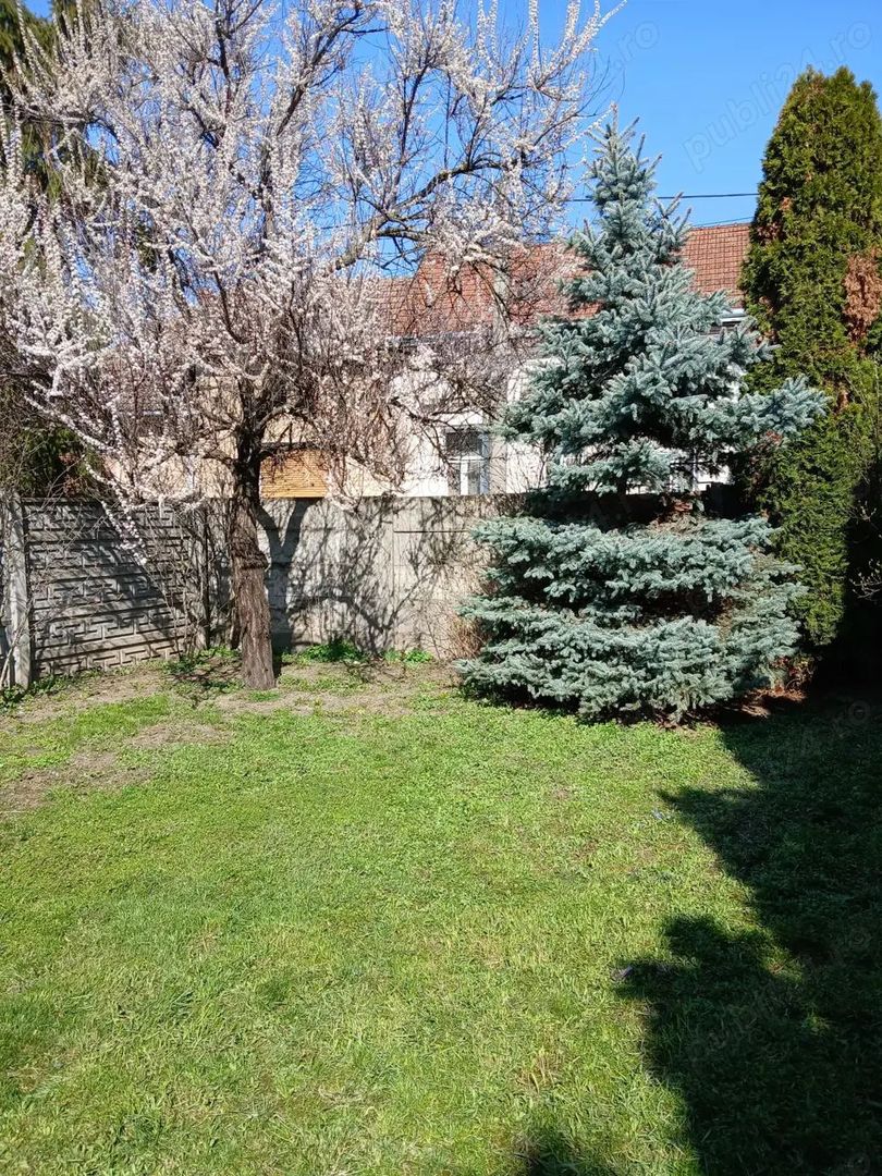 Vand casa ultracentrala - Poză 5