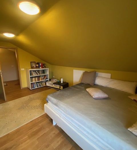 Duplex cu piscina Dumbravita Zona PADURE - Poză 18