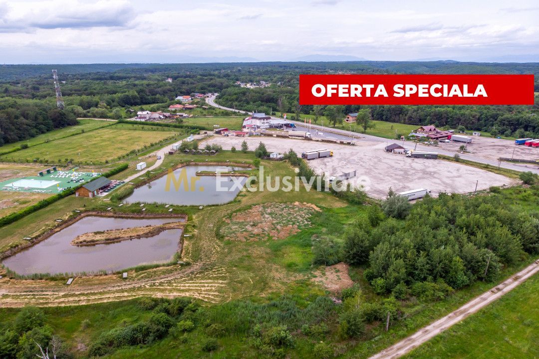 Motel, camping, piscina si lacuri de pescuit pe un teren de 49 285 mp - Poză 2