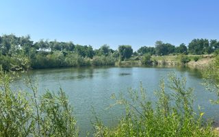 Iaz Piscicol Bacau Saucesti - Poză 10