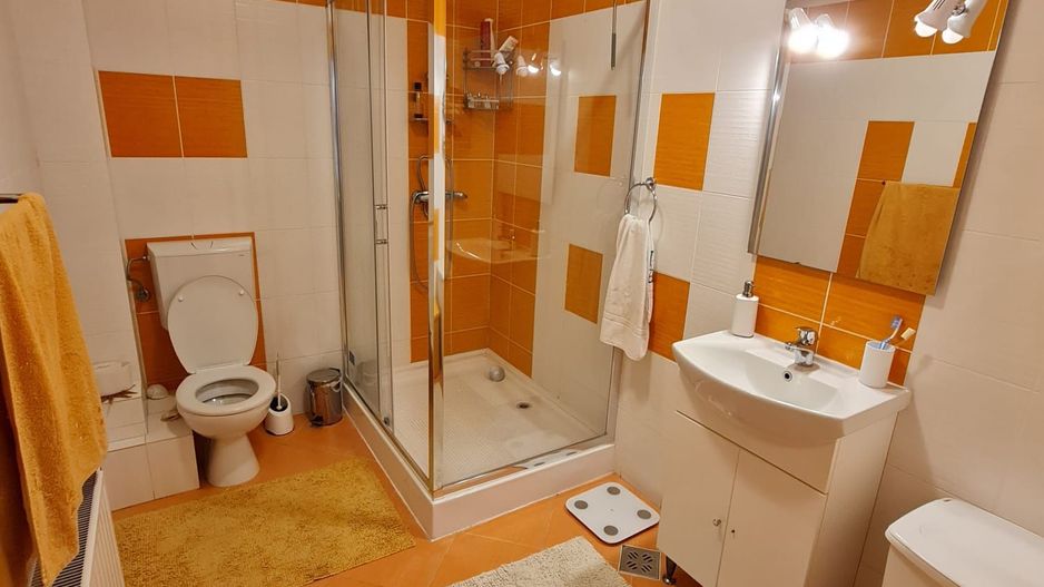 Vila 4 camere 220 mpu - 400 mp teren - Pipera / V Alecsandri - Poză 13