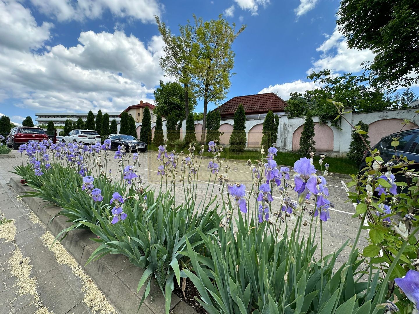 Apartament 2 camere bloc boutique Restaurant Little Texas - Poză 1