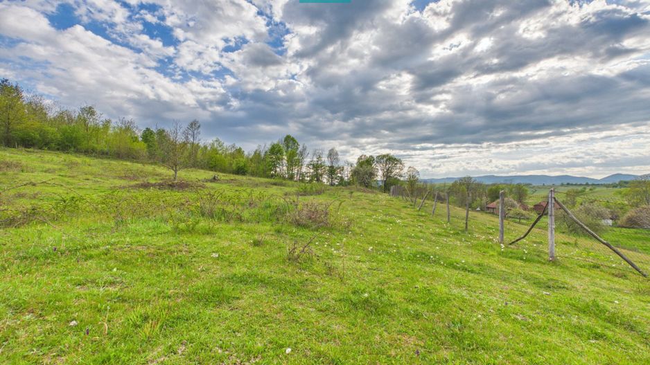 Casă cu teren de 17.681 mp, în loc. Hălmăgel, Arad - Poză 20