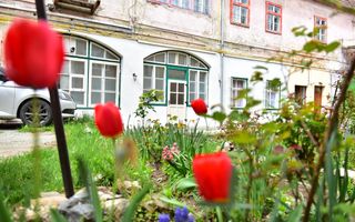 Apartament 2 camere | Parter | 50 MP | Central - Poză 6