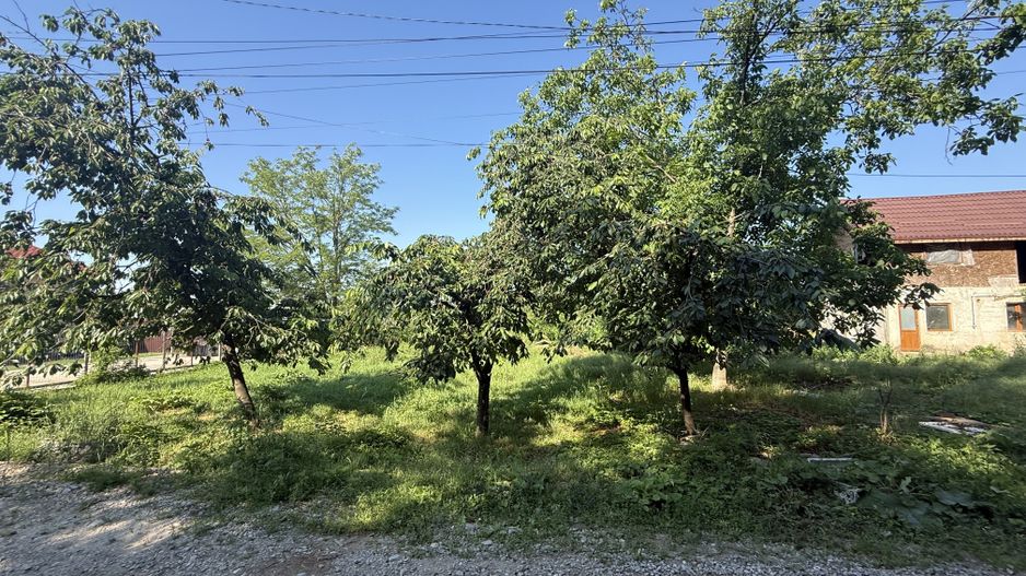Casă renovanila lângă pădure 91 mp + teren 500 mp cu toate utilitățile - Poză 20