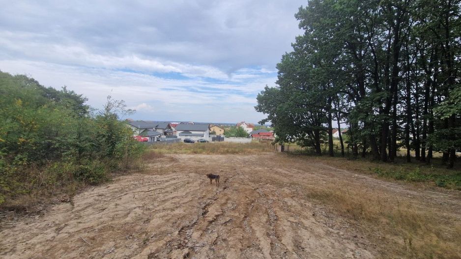 AZURA Imobiliare - Vanzare teren Hintesti, langa padure, 300m din DN - Poză 9