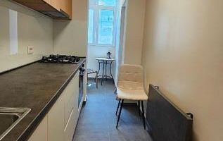 Studio complet renovat - Iancului - Pantelimon - complet renovat - Poză 8