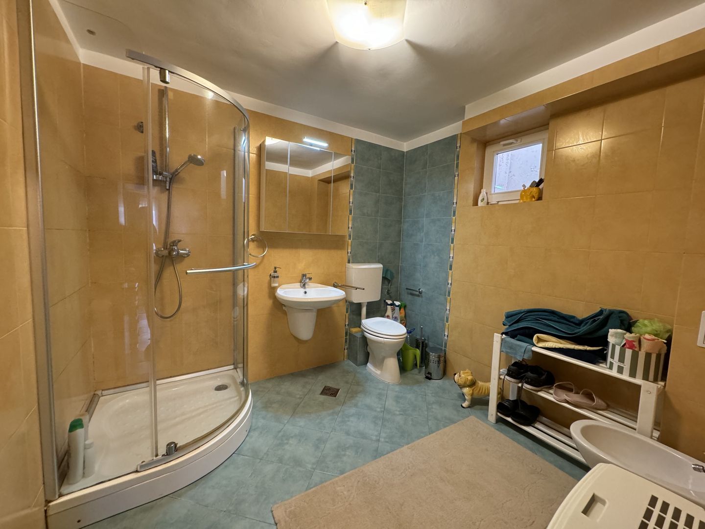 Vila individuală de vânzare în Livezeni, la doi pași de Târgu Mureș | Comision 0 - Poză 18