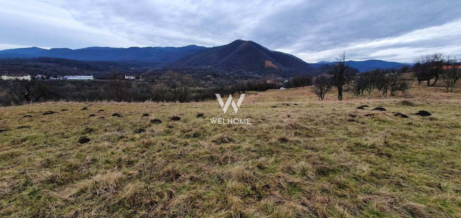 Rădăcini noi, visuri vechi- Teren de vanzare in Cisnadioara, Sibiu - Poză 2