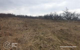 Teren intravilan 3841 mp, situat central, Covasint - Poză 2