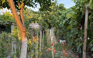 Casa de vânzare în zona Calea Sagului - Poză 7
