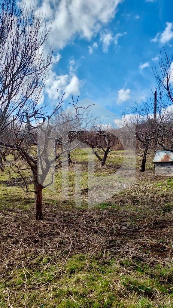 Casa de vanzare  in Talmacel-Teren 4000 mp cu livada+garaj - Poză 14