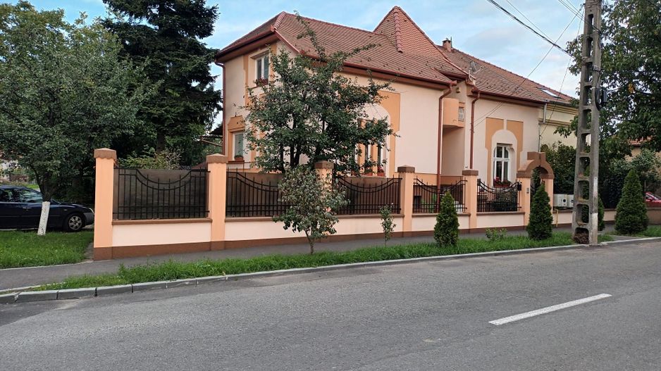 Ag EUROPA vinde casa individuala zona TITULESCU - Poză 1