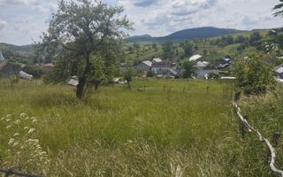 Teren intravilan 5000 mp-utilitati-ideal case-Slatinita - Poză 2