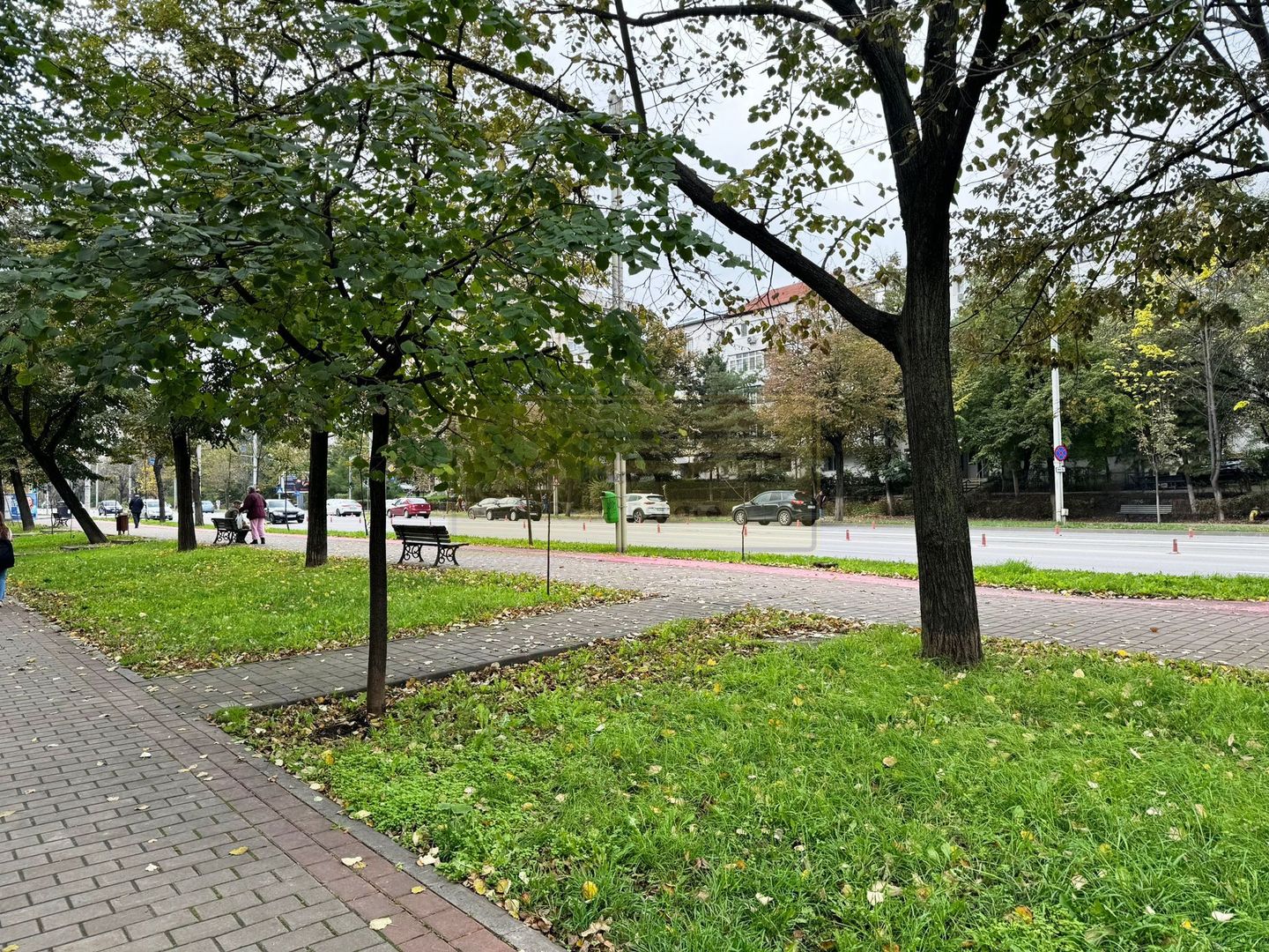 Apartament 2 camere decomandat Nicolina - CUG Rond Vechi - Poză 20