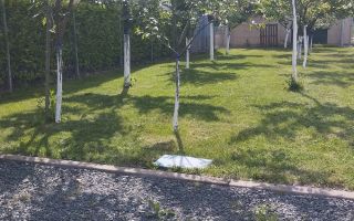Teren 595 mp | Cartierul Florilor | Anexă locuibilă 42,5 mp - Poză 3