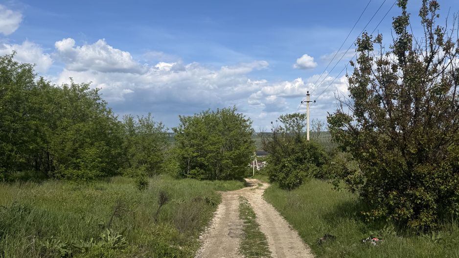 Teren intravilan Nimoreni, Ialoveni - Poză 2
