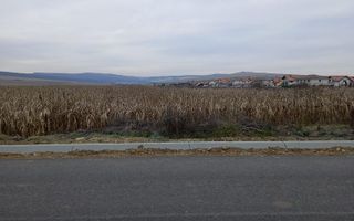 Teren 4,000mp intravilan | Șura Mică - Poză 2