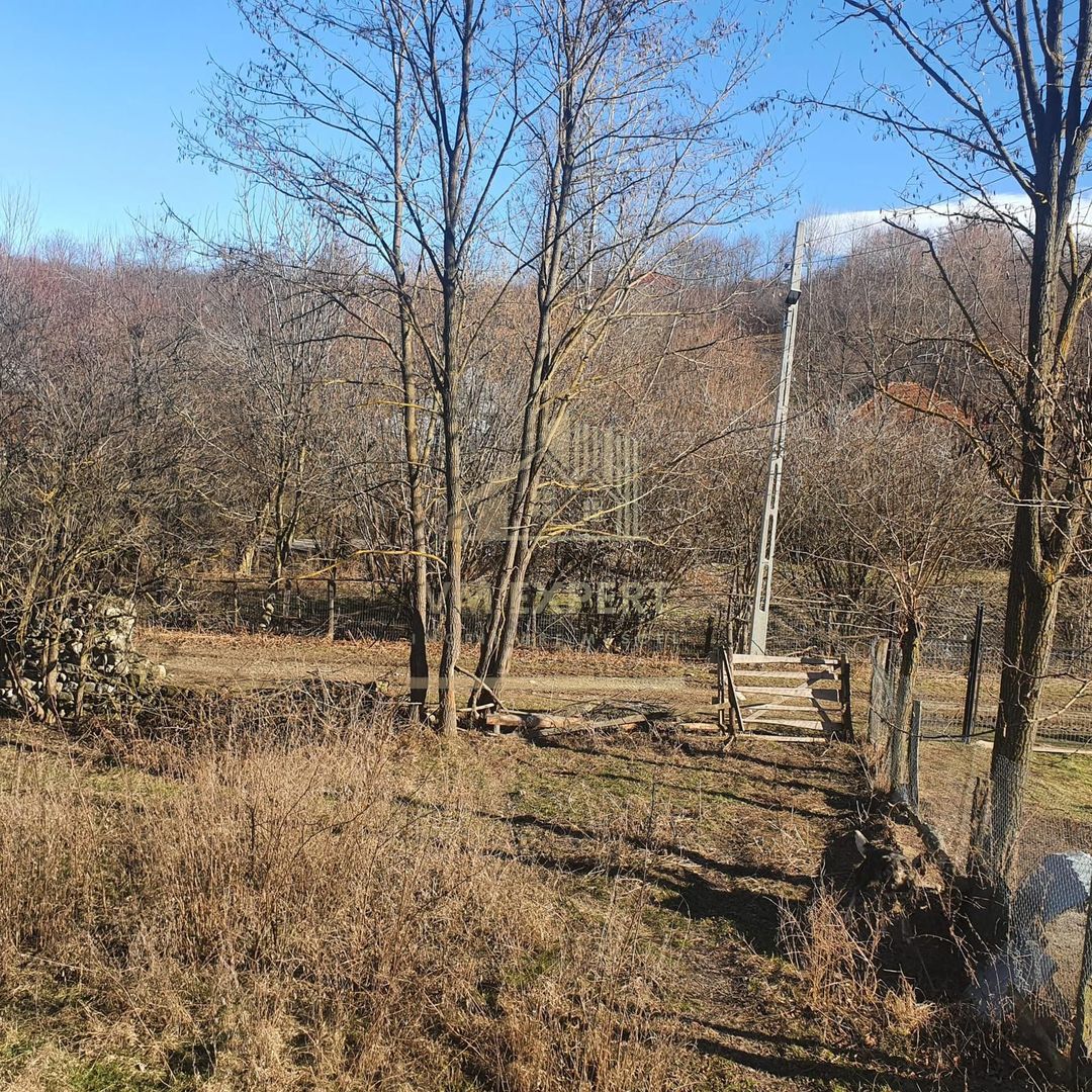 TEREN INTRAVILAN 4614 MP, CAMPULUNG - VALEA ROMANESTILOR - Poză 6