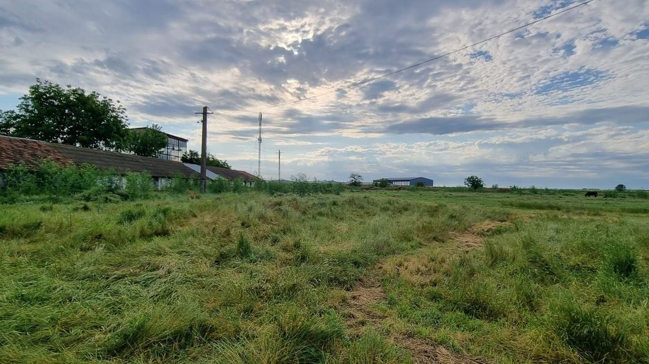 Oportunitate investiție energie verde | 10.000 mp - Poză 9