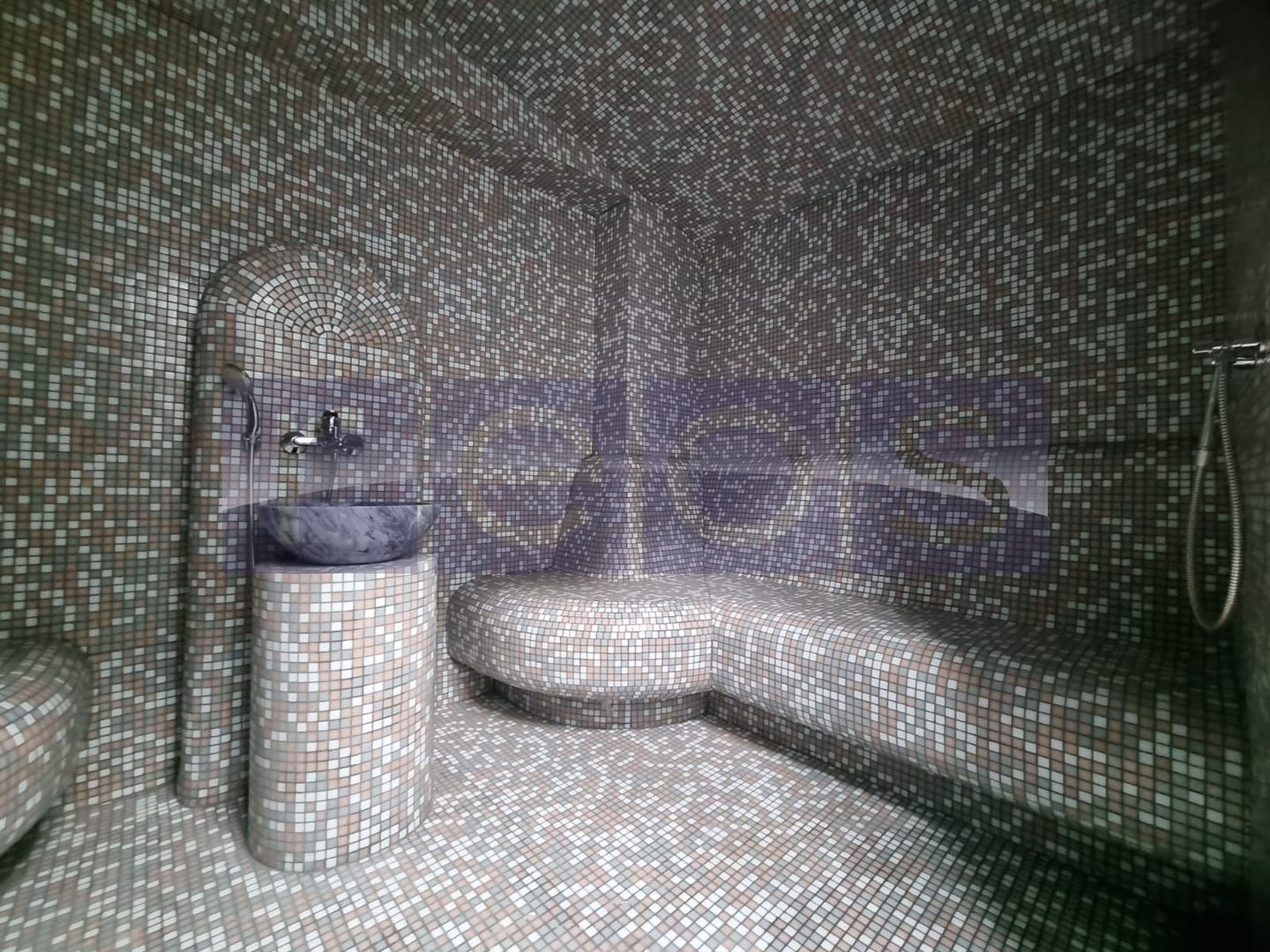 INCHIRIERE -2 VILE -ZONA MOGOSOAIA - Poză 18