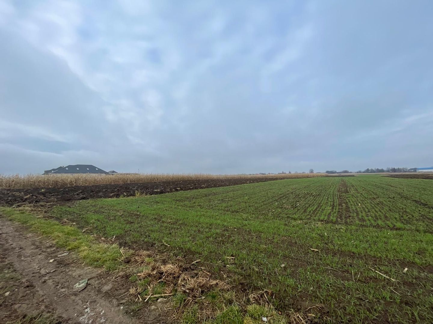 TEREN EXTRAVILAN 13 ARI | FRONT STRADAL 13 M | MARGINEA - Poză 4