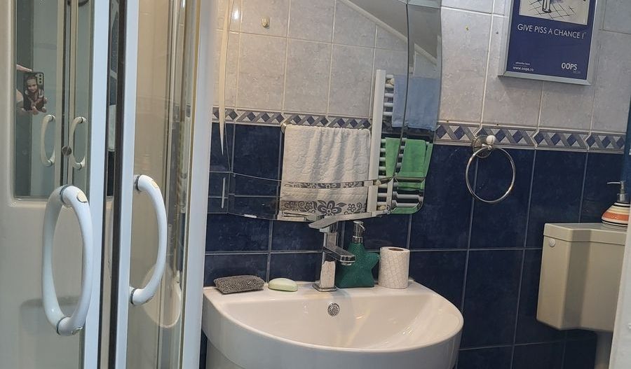 Bulevardul Ferdinand || Vila Lux 7 Camere  || Curte Terasa || 5 locuri parcare - Poză 17