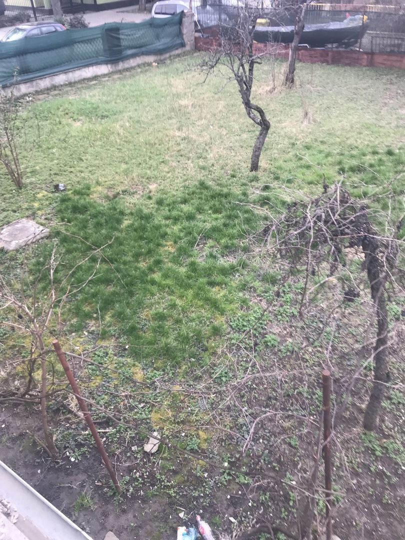 Ideala pentru diferite activitati - Poză 10