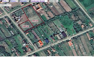 Teren intravilan 1855 mp Seceani, lângă autostradă A1 – Ortisoara - Poză 2