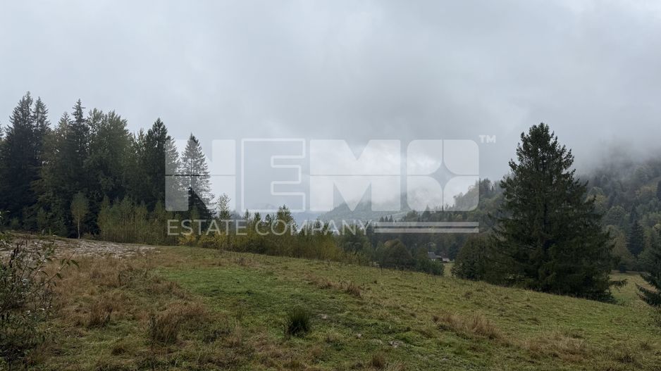 Teren Extravilan | 6.100 mp | Brodina | 41.500 € negociabil - Poză 5