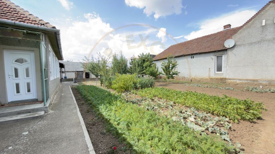 Casă 4 camere, Teren 1005 mp Loc. Căpleni Nr.786 -Jud. Satu Mare - Poză 18
