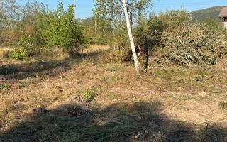 TEREN INTRAVILAN, CAMPULUNG,  2691 MP - Poză 13