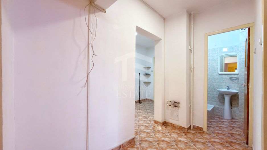 Apartament 3 camere Lacul Tei Teiul Doamnei - Poză 18