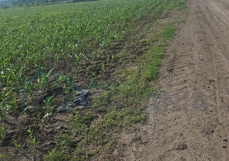 Teren de 6500 mp pentru construcție casă, Popesti - Poză 4