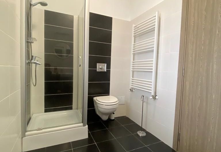 Apartament 3 camere zona Lipovei - Poză 7