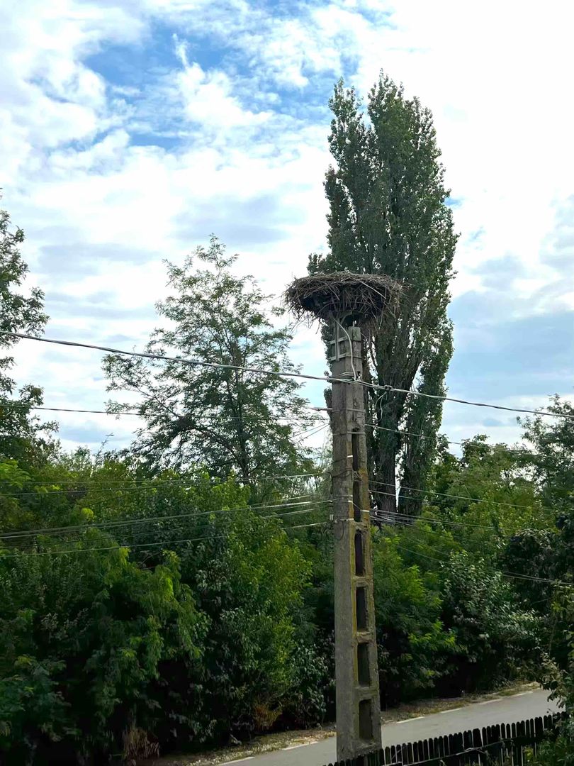 Vila Dragomiresti-Vale 167mp | 1.015mp teren - Poză 14